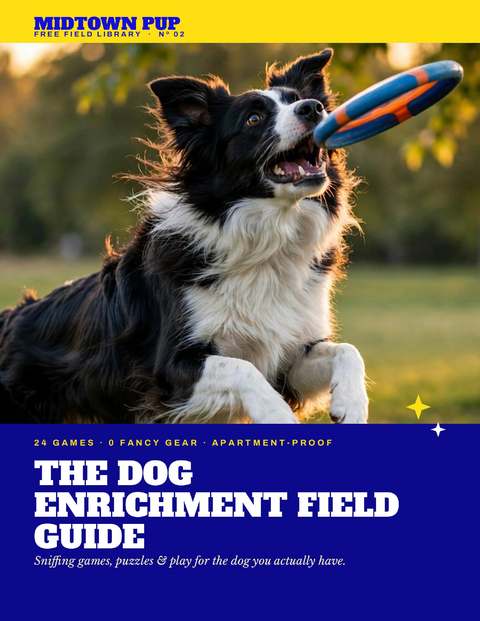 Cover of The Dog Enrichment Field Guide: a black-and-white border collie catching a blue and orange frisbee at sunset under a yellow MIDTOWN PUP masthead, with the title in a dark blue block.